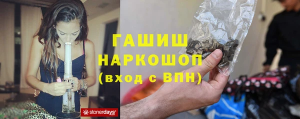 мдпв Осташков