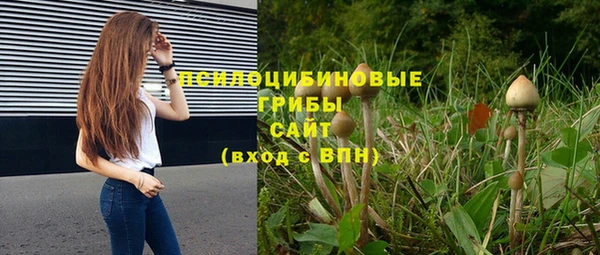 герыч Осинники