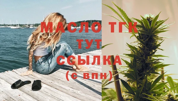 мдпв Осташков