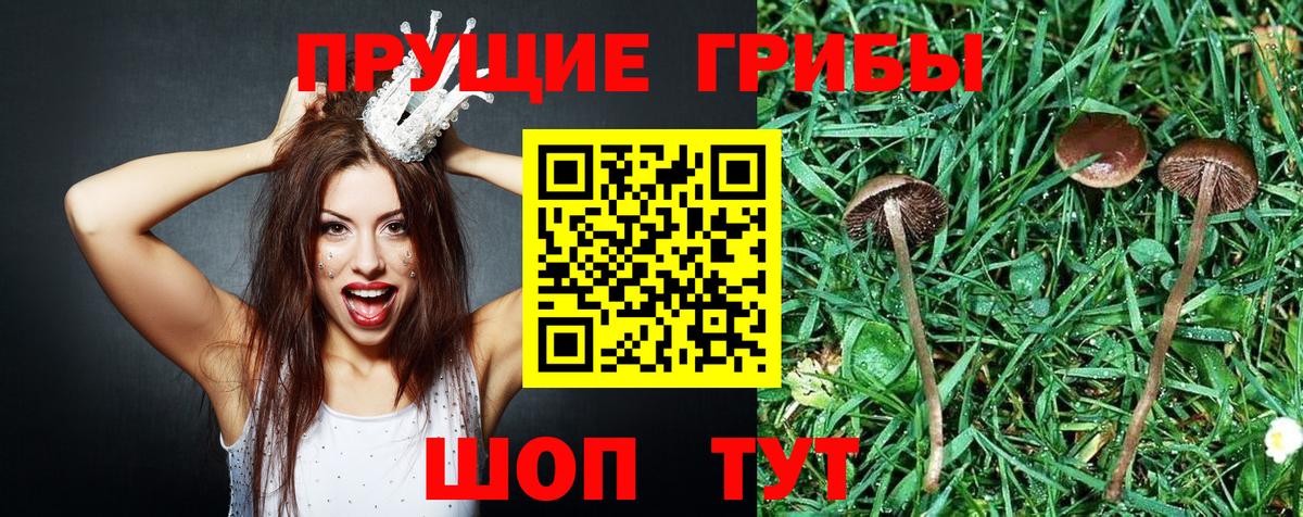 Псилоцибиновые грибы Cubensis  Псилоцибиновые грибы Magic Shrooms  Норильск  Вход с VPN 