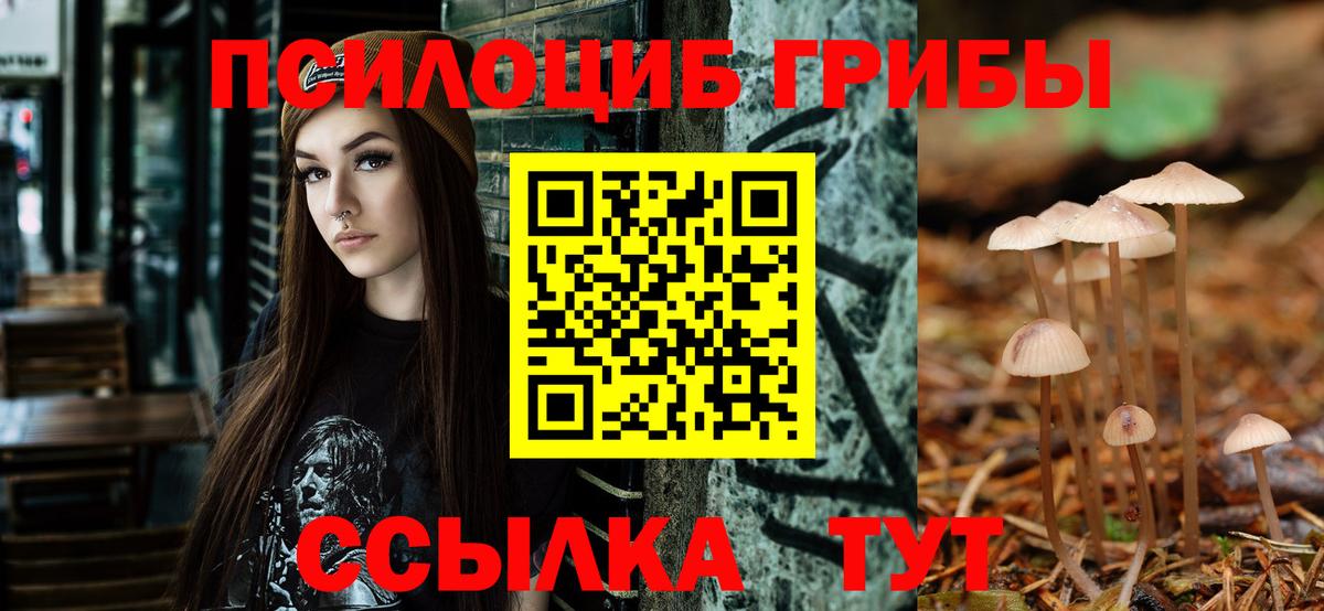Галлюциногенные грибы ЛСД  Норильск  Галлюциногенные грибы ЛСД 