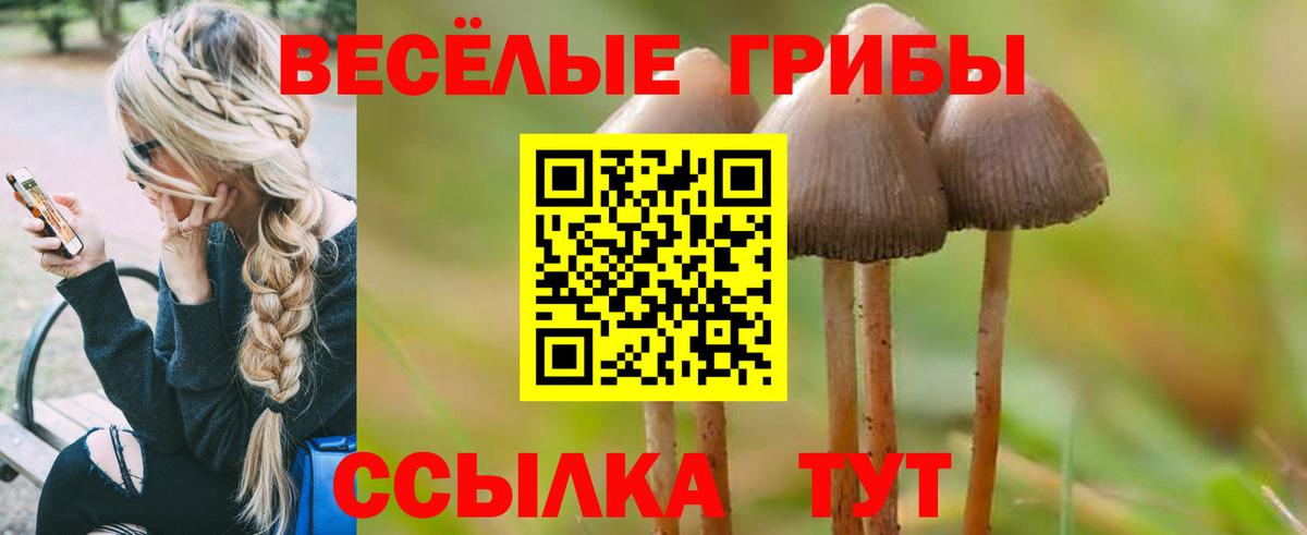 Псилоцибиновые грибы GOLDEN TEACHER  Норильск 