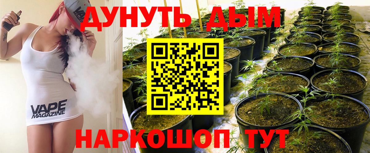 Конопля OG Kush  Конопля OG Kush  Норильск  Конопля OG Kush 
